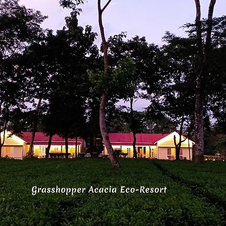 Grasshopper Acacia Eco Resort Madari Hat Luaran gambar