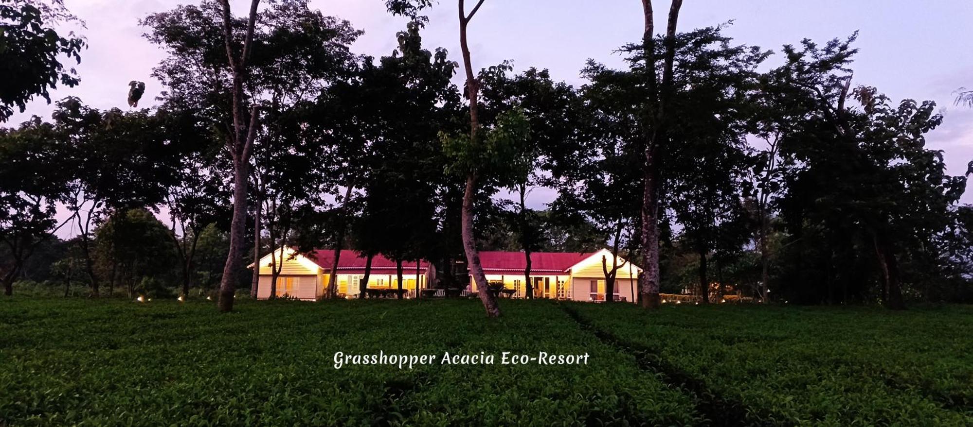 Grasshopper Acacia Eco Resort Madari Hat Luaran gambar